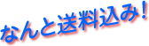 送料込み